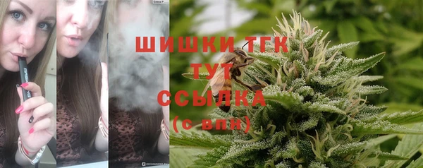 ГАЛЛЮЦИНОГЕННЫЕ ГРИБЫ Михайловка