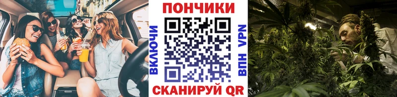 Конопля SATIVA & INDICA  что такое наркотик  Отрадный 